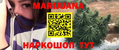 гашик Ливны