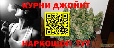 гашик Ливны