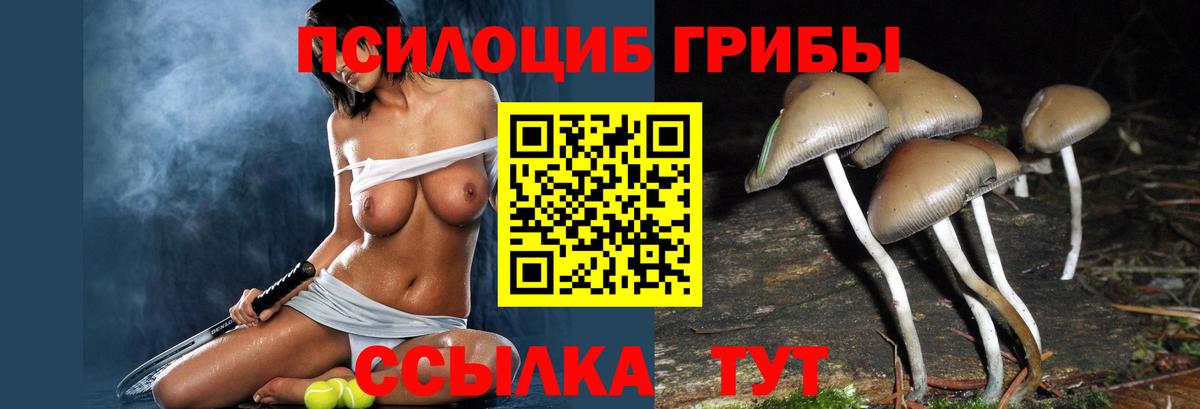 Псилоцибиновые грибы MAGIC MUSHROOMS Топки